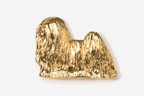 A gold dog is sitting on top of the ground.