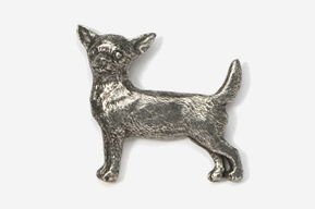 A silver dog is standing up to the side.