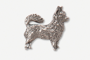 A silver dog is standing on its hind legs.