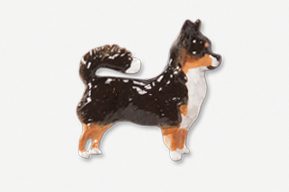 A black and brown dog is standing up