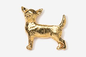 A gold colored dog is standing up.