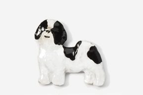 A black and white dog is standing up