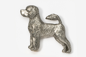 A silver dog is standing on the ground