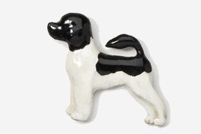 A black and white dog is standing up