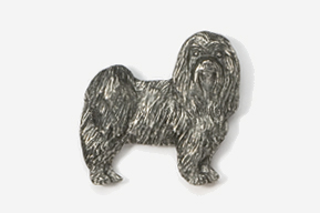 A silver dog is standing on the ground.