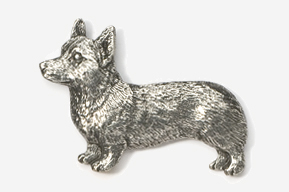 A silver dog is standing on its hind legs.