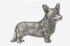 A silver dog is standing up against the wall