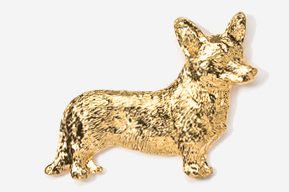 A gold dog is standing up against the wall.