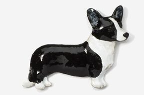 A black and white dog is standing up