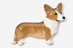 A brown and white dog is standing up