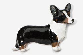 A black and white dog is standing on its hind legs.