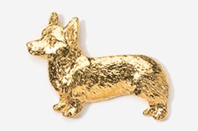 A gold dog is sitting on the ground.