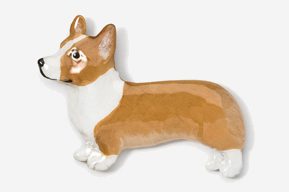 A brown and white dog is laying down