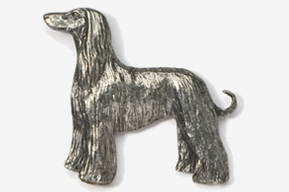 A silver dog is standing in front of the camera.