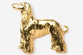 A gold dog is standing in front of the camera.