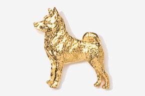 A gold dog is standing in front of the camera.