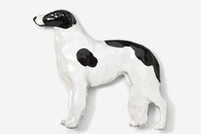 A black and white dog is standing on the ground