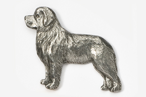 A silver dog is standing on the ground.