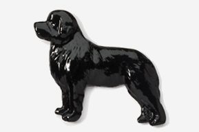 A black dog is standing in front of the wall.