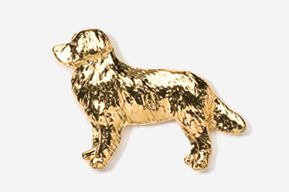 A golden retriever dog pin is shown in gold.