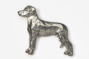 A silver dog is standing on the ground.