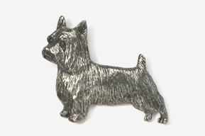 A silver dog is standing up against the wall.