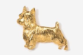 A gold colored dog is shown in profile.