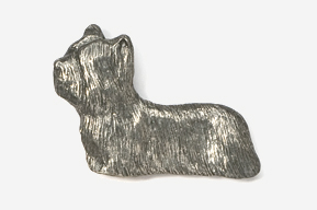 A silver dog is sitting on the ground.