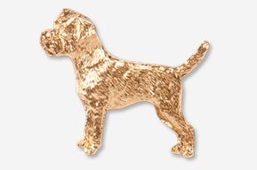 A gold dog is standing in front of the camera.