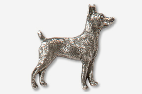 A silver dog is standing up to the side.