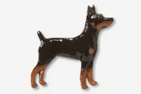 A black and brown dog standing on top of a white table.