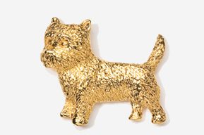 A gold colored dog is shown in this picture.