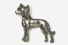 A silver dog is standing up against the wall.