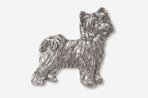 A silver dog is standing in front of the camera.