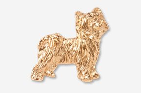 A gold colored dog is shown in this picture.