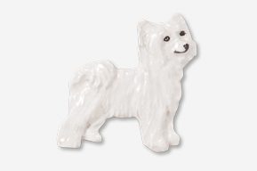 A white dog is standing up and looking at the camera.