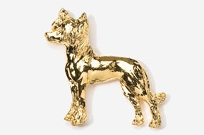 A gold plated dog is standing up to the side.