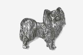 A silver dog is standing in front of the camera.