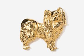 A gold colored dog is shown in this picture.