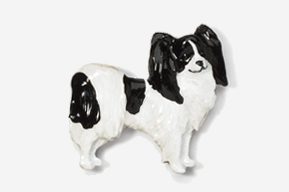 A black and white dog is standing up