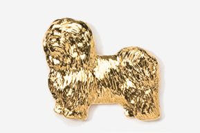 A gold colored dog is shown in this picture.