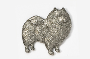 A silver dog is standing on its hind legs.