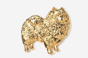 A gold colored dog is shown in this picture.