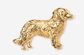 A golden retriever dog pin is shown in gold.