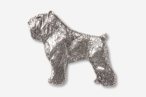 A silver dog is standing in front of the camera.