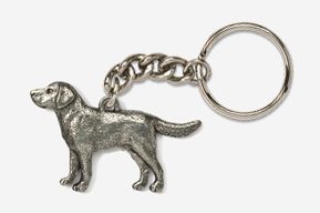 A metal dog keychain with chain