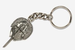 A key chain with a coin on it