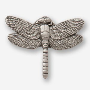A silver dragonfly is shown in this picture.