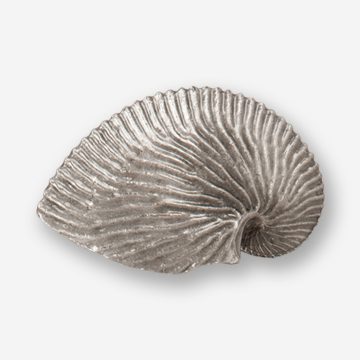 A silver shell dish with a white background