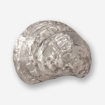A silver object with a shell on top of it.